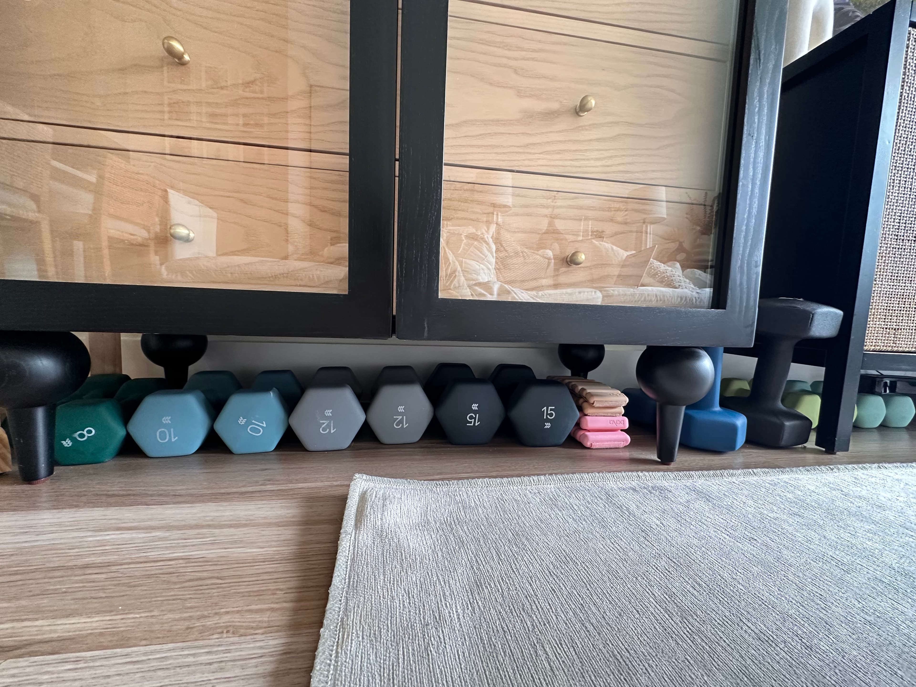 another photo of my evlo fitness setup